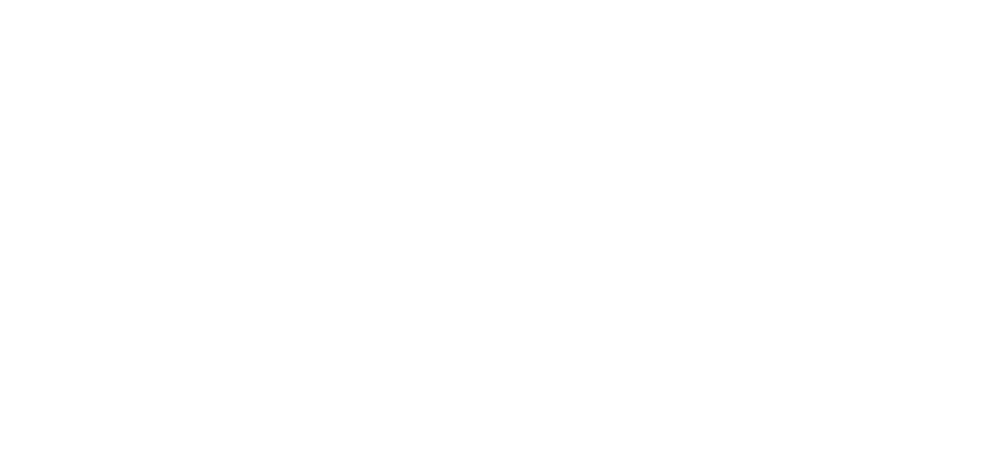 FUSION WORK HARD DREAM BIG TFC,INC.